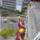 대성조명 이미지