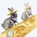 명문칸입시학원 이미지