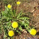 부곡한옥펜션 이미지