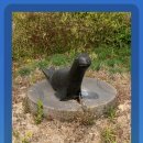 수원-0323 이미지