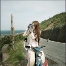 VINO(비노) 이미지