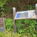 방일1리 마을회관 이미지