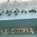 멍뭉이애견샵 이미지