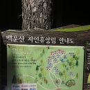 백운산 자연휴양림 야영장 | 전남 광양 백운산 자연휴양림 1야영장 14번 사이트 후기 맨발체험장