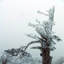 함백산 아이잰 가저오세요 홍보산행 동영상 이미지