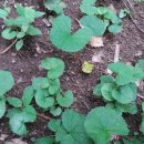 이리농장 이미지