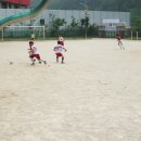 와부초등학교 이미지