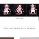 디어앤스튜디오