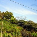 파주시청소년수련장 이미지