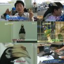 새밤농장 이미지