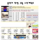 용인대한별태권도장