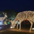 제주조각공원 이미지