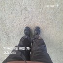 닥터드림재활의학과의원 | 하남 마운자로 처방 가격 직접 비교! 미사에서 맞아본 솔직 후기