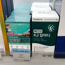 부산서면동물약국 | 부산 서면 창고형 약국 쥬디스태화 서면 짱약국 총정리 내돈내산 후기