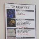 워시팡팡구운