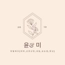 미네일앤스킨