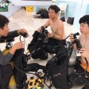 다이버스버디