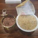 [잠실새내pt] 진유 코치의 스위치온 다이어트 1주차 후기 (인바디, 체지방변화)