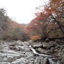 해인사 소리길 이미지