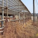 운담미르 이미지