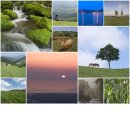 살바토레펜션 | 해발 700미터 청정고도 대관령 리멤버 팬션