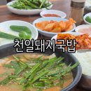 천일시장 | [덕천역점심메뉴] 구포시장 어르신들의 맛집 천일돼지국밥 솔직 후기