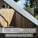 돔스토리휴양펜션 | 제주도 서귀포시 내돈내산 감성 숙소 추천 : 야외 자쿠지 펜션 l 선스토리