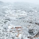 이제 겨울 시작! 눈으로 물든 서원의 풍경❄ 경북 영주 #소수서원 이미지