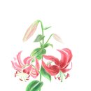 2층 제2문화교실 이미지