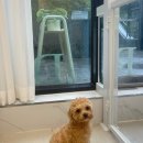 뽀드득 블랑스파 이미지