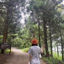 [후기] 하이 제주 3편 🌴🧡 | 2박 3일 제주도 여행 후기...한림공원, 금능해수욕장, 반하크라, 홍대부부