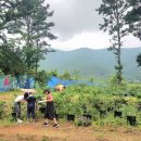 청도농장 이미지