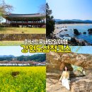 덕산 산딸나무길 | 강원도 삼척 여행코스 아너드투어 국내당일여행 후기