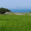 달그락 이미지