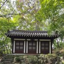 안경맞추기 이미지