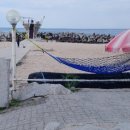 바다정원민박 이미지