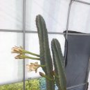 도곡농장 이미지