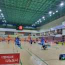한국초등배드민턴연맹