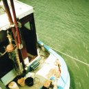 유창일 행정사 이미지