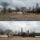 마루경관