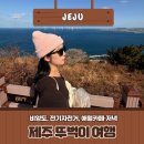 애월숲에101 | 제주 서쪽 혼자 뚜벅이 여행 코스 추천: 전기자전거 대여, 비양도, 애월 맛집/카페