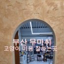 고든펫 이미지