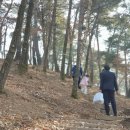 한국산림복지진흥원하늘숲추모원 이미지