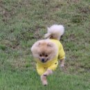 까망펜션 이미지