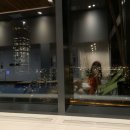 광주 수영 개인레슨 1년 후기, 개인레슨 효과 및 가격, 다이어트 수영일기