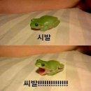 소이로움