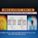보석힐링연구소
