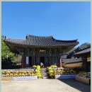 땅끝 남도의 향기 이미지