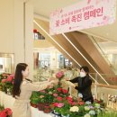 롯데몰 앞1 이미지