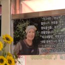 닥그네할망 이미지